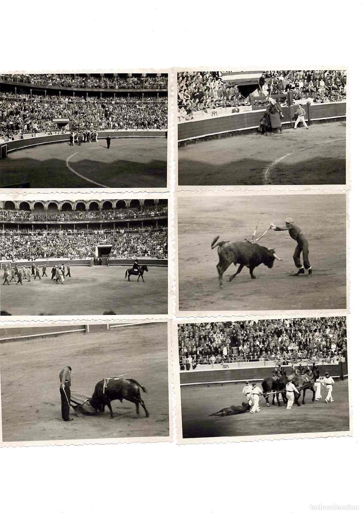Tauromaquia: LOTE 8 FOTOGRAFIAS ESCENAS TAURINAS BILBAO 1954. JULIO APARICIO, JUMILLANO, CESAR RINCON, ANTO&Ntilde;ETE