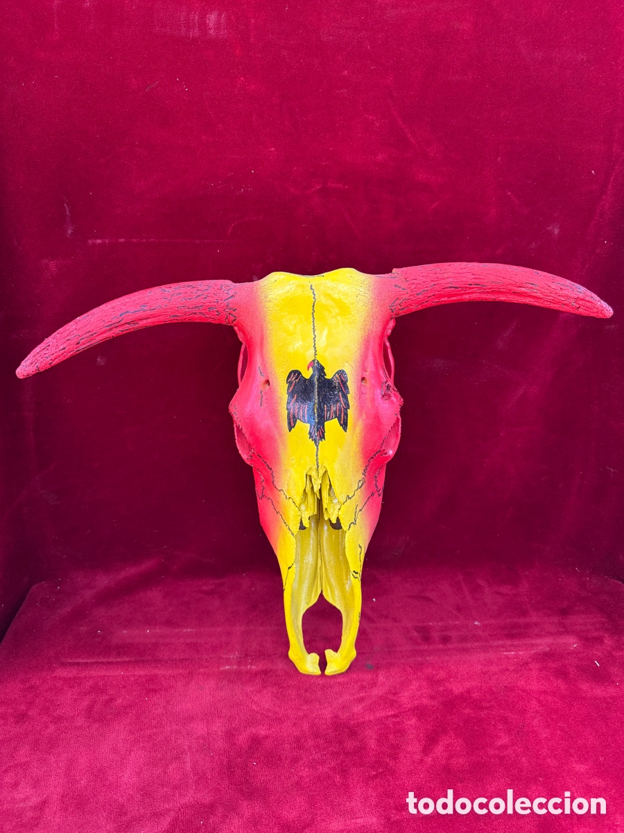 Tauromaquia: Craneo de Toro,pintado Bandera Espa&ntilde;ola y el aguila