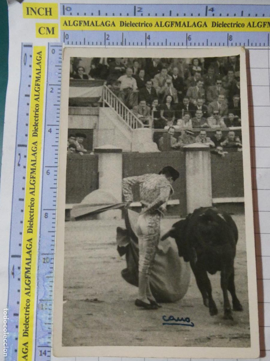 Tauromaquia: FOTO FOTOGRAF&Iacute;A POSTAL DE TOROS TAUROMAQUIA. TORERO? FOT&Oacute;GRAFO CANO MADRID. 2921