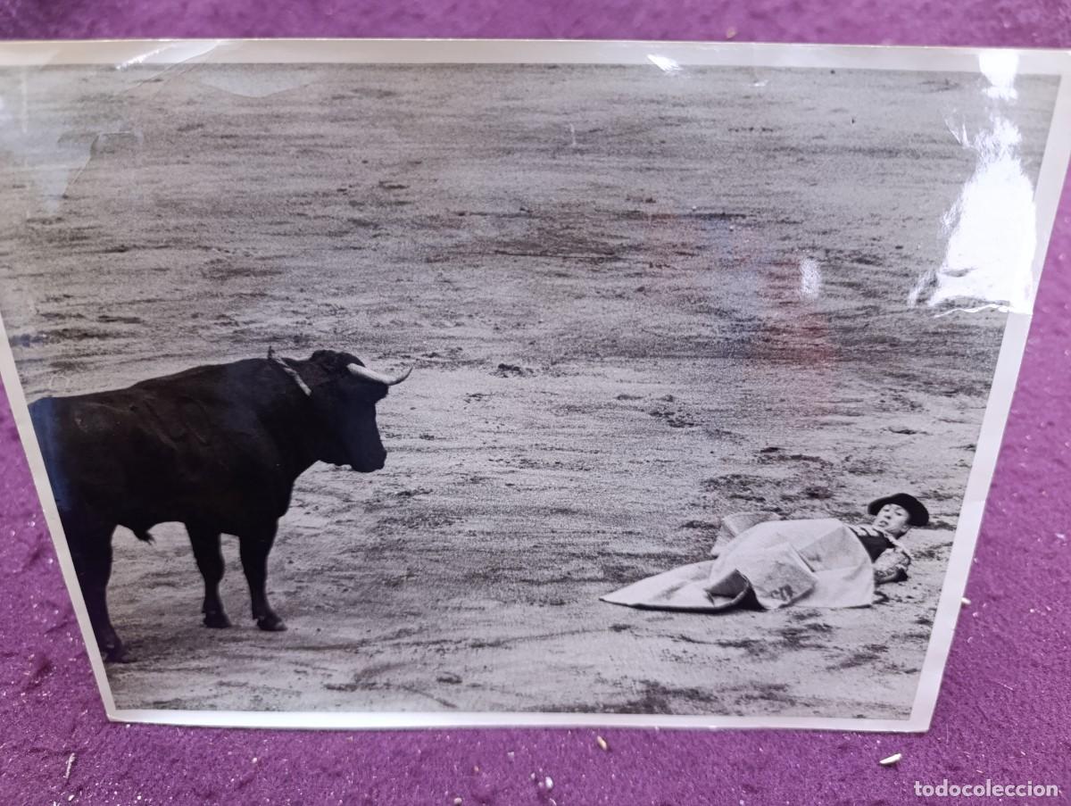 Tauromachie: Antigua fotograf&iacute;a de Archivo, Tauromaquia, El Norte&ntilde;o en una ca&iacute;da al descubierto