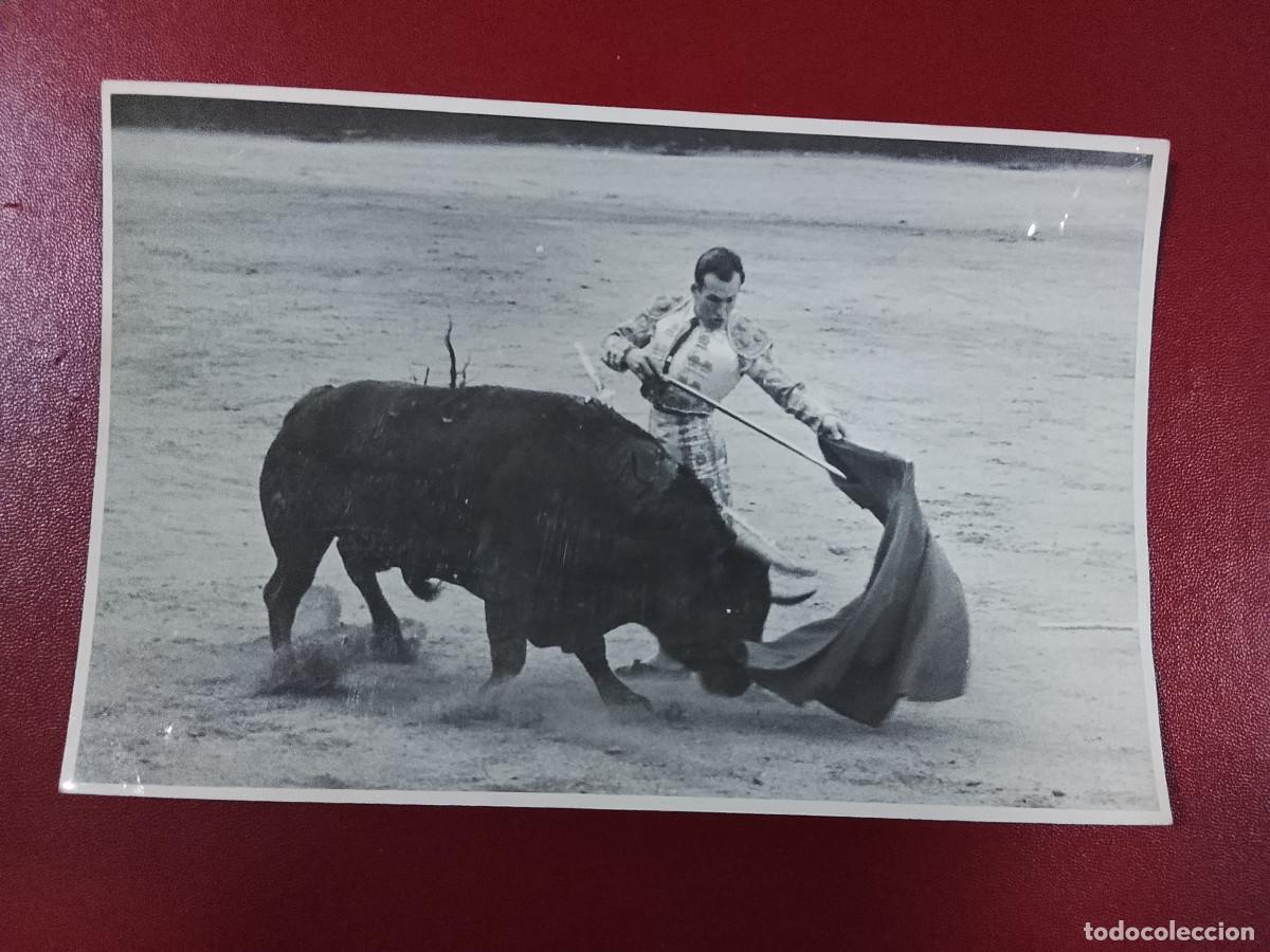 Tauromaquia: Tauromaquia. Fotograf&iacute;a del torero Chicuelo (Cifra Gr&aacute;fica) (Sin fecha)