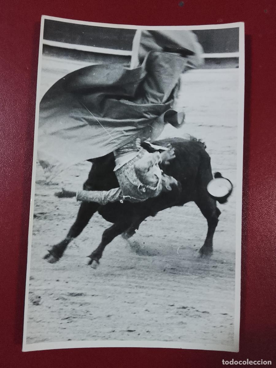 Tauromaquia: Tauromaquia. Fotograf&iacute;a cogida al torero Mario Carri&oacute;n (Cifra Gr&aacute;fica) (Sin fecha)