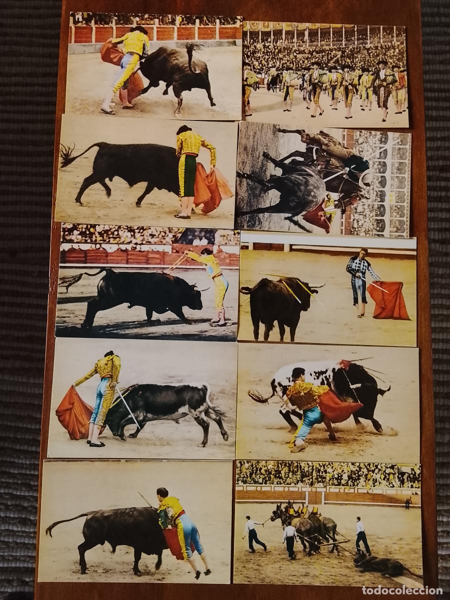 Tauromaquia: Lote de 10 postales de tauromaquia