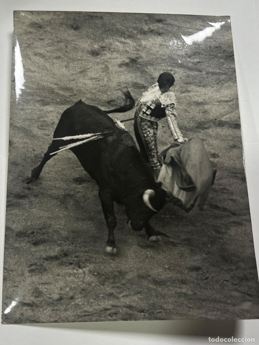 Tauromaquia: ANTIGUA FOTOGRAF&Iacute;A. JOS&Eacute; BEN&Iacute;TEZ EL CORDOB&Eacute;S. TAUROMAQUIA. FOT&Oacute;GRAFO B.V. CARANDE.