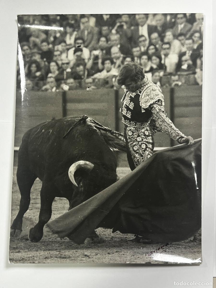 Tauromaquia: ANTIGUA FOTOGRAF&Iacute;A. JOS&Eacute; BEN&Iacute;TEZ EL CORDOB&Eacute;S. TAUROMAQUIA.