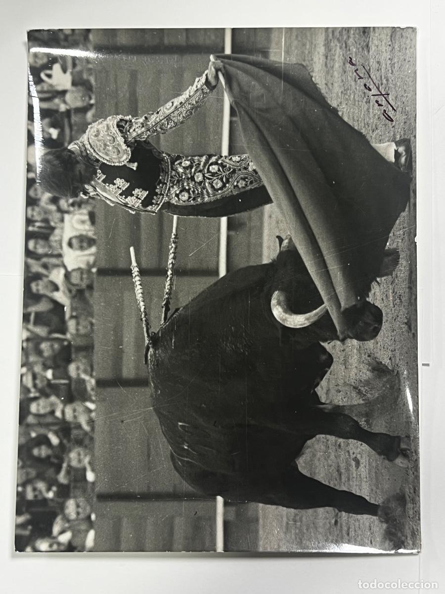 Tauromaquia: ANTIGUA FOTOGRAF&Iacute;A. JOS&Eacute; BEN&Iacute;TEZ EL CORDOB&Eacute;S. TAUROMAQUIA.