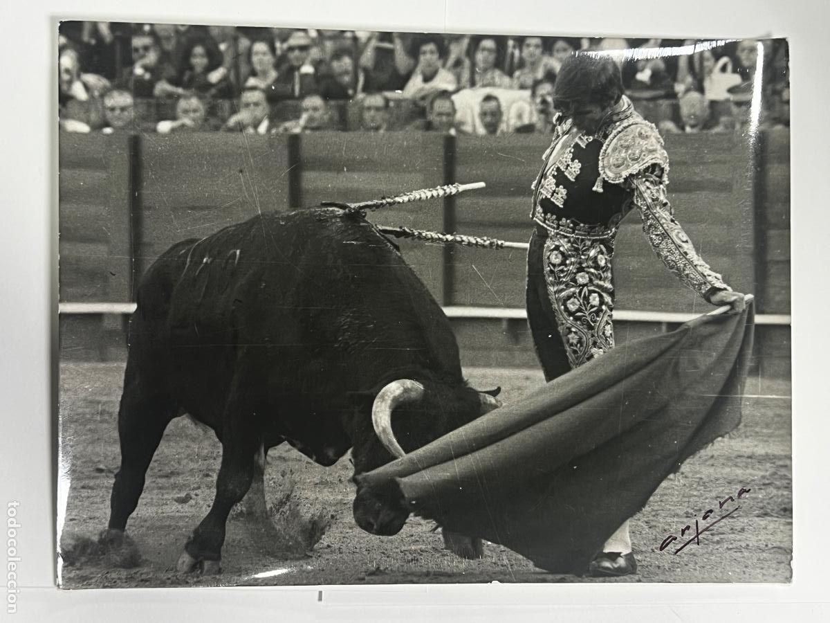 Tauromaquia: ANTIGUA FOTOGRAF&Iacute;A. JOS&Eacute; BEN&Iacute;TEZ EL CORDOB&Eacute;S. TAUROMAQUIA.