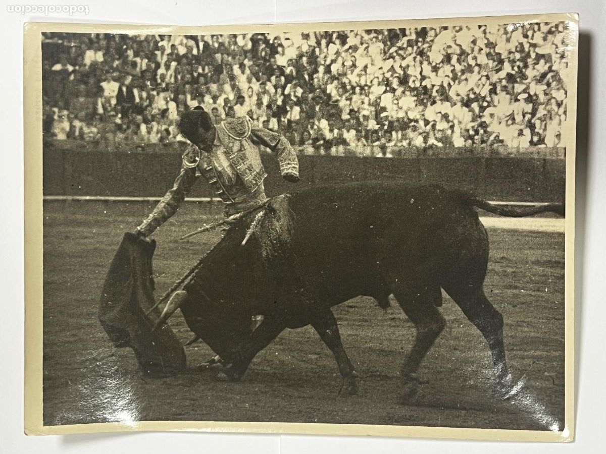 Tauromaquia: ANTIGUA FOTOGRAF&Iacute;A. TORERO CARLOS ARRUZA. TAUROMAQUIA.