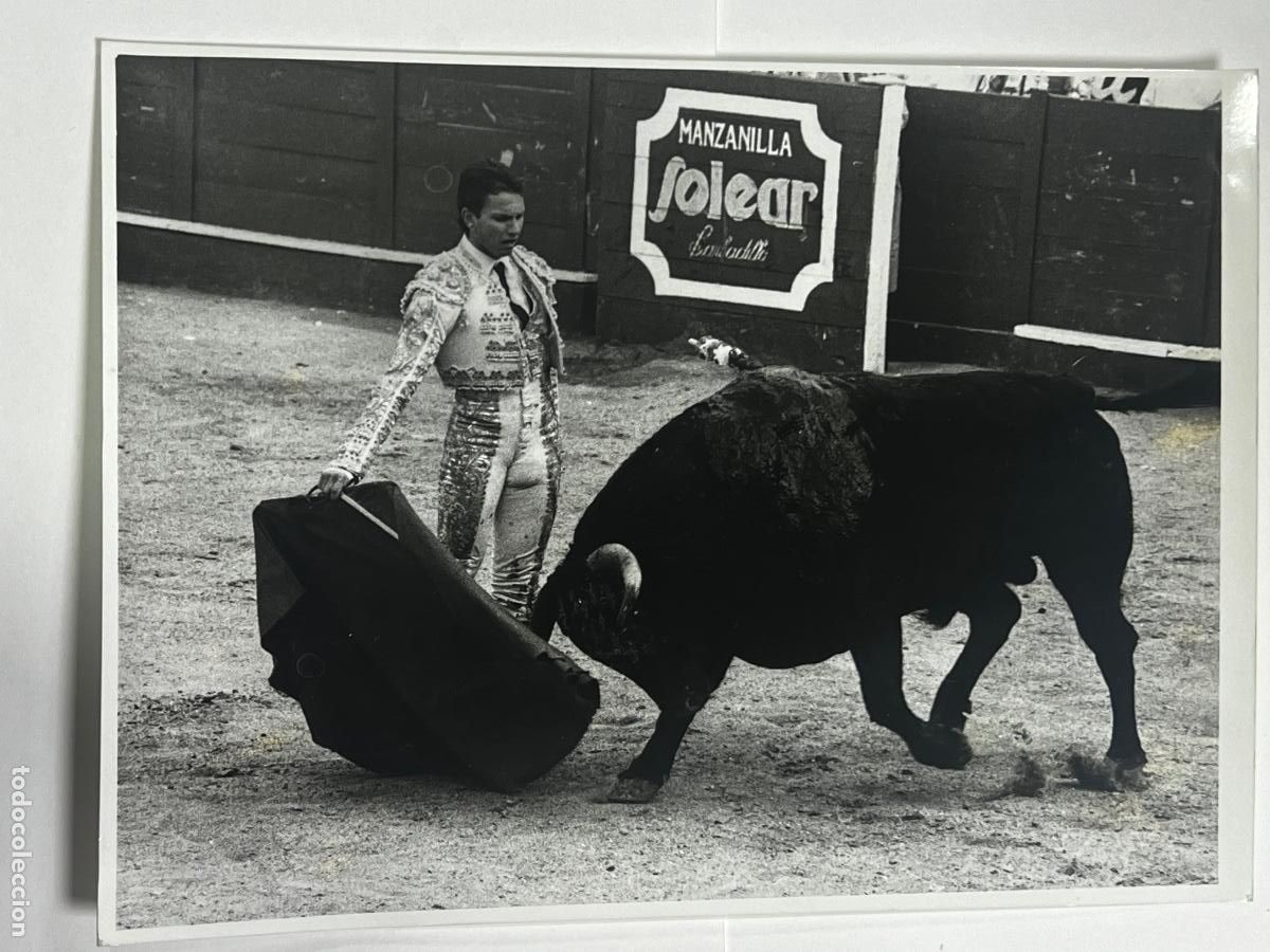 Tauromaquia: ANTIGUA FOTOGRAF&Iacute;A. TORERO JULIO APARICIO. TAUROMAQUIA.