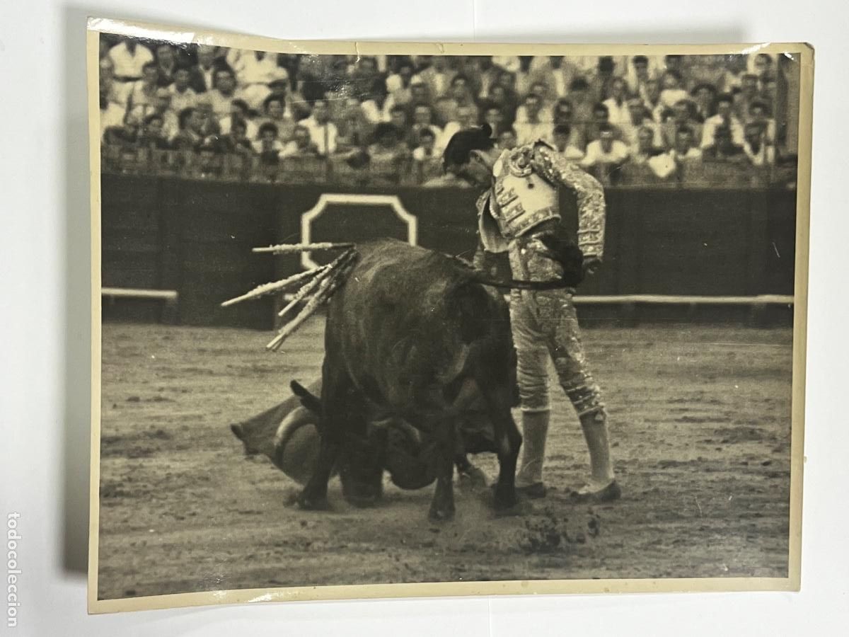 Tauromaquia: ANTIGUA FOTOGRAF&Iacute;A. TORERO JULIO APARICIO. TAUROMAQUIA. FOTOGRAF&Iacute;A SERRANO.