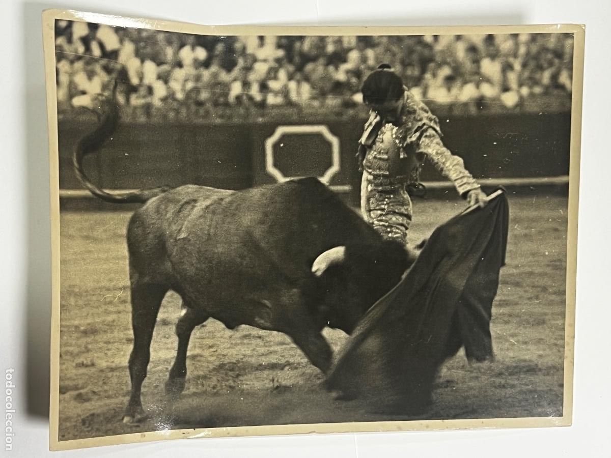 Tauromaquia: ANTIGUA FOTOGRAF&Iacute;A. TORERO JULIO APARICIO. TAUROMAQUIA. FOTOGRAF&Iacute;A SERRANO.