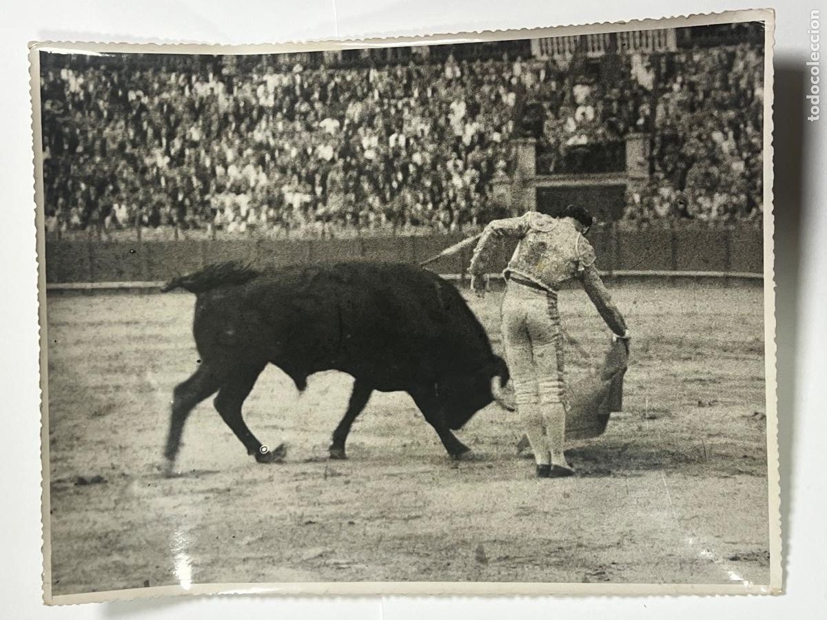Tauromaquia: ANTIGUA FOTOGRAF&Iacute;A. TORERO EL ANDALUZ. TAUROMAQUIA.