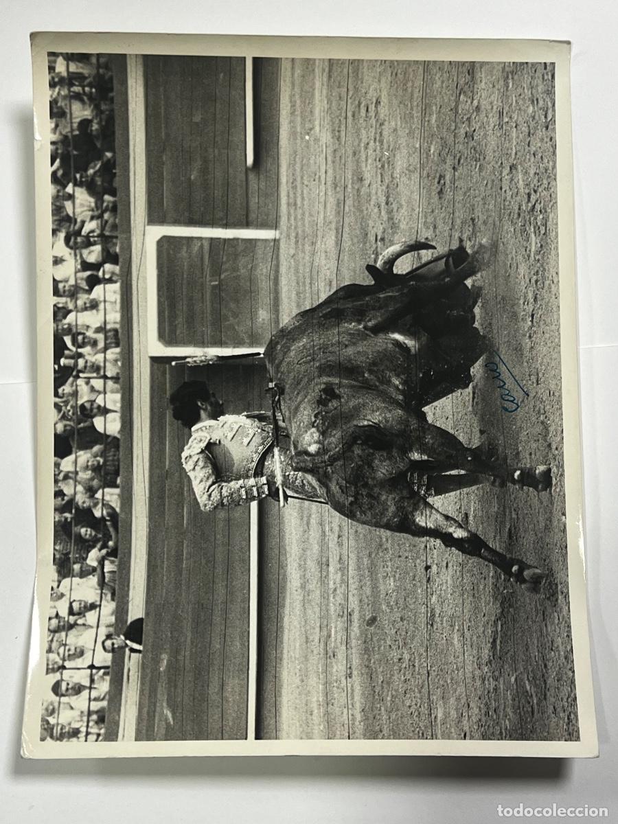 Tauromaquia: ANTIGUA FOTOGRAF&Iacute;A. TORERO MANOLO CORTES. TAUROMAQUIA. FOT&Oacute;GRAFO CANO.