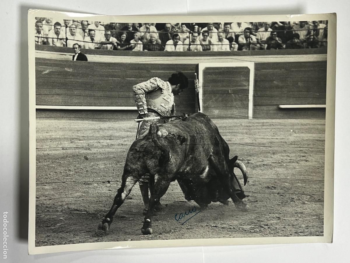 Tauromaquia: ANTIGUA FOTOGRAF&Iacute;A. TORERO MANOLO CORTES. TAUROMAQUIA. FOT&Oacute;GRAFO CANO.