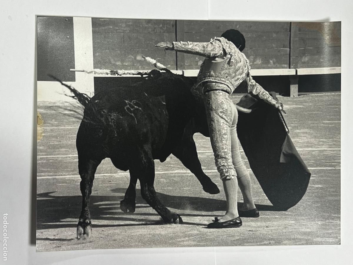 Tauromaquia: ANTIGUA FOTOGRAF&Iacute;A. FOTOGRAFIA JOS&Eacute; ANTONIO CAMPUZANO. TAUROMAQUIA. NIMES 88.