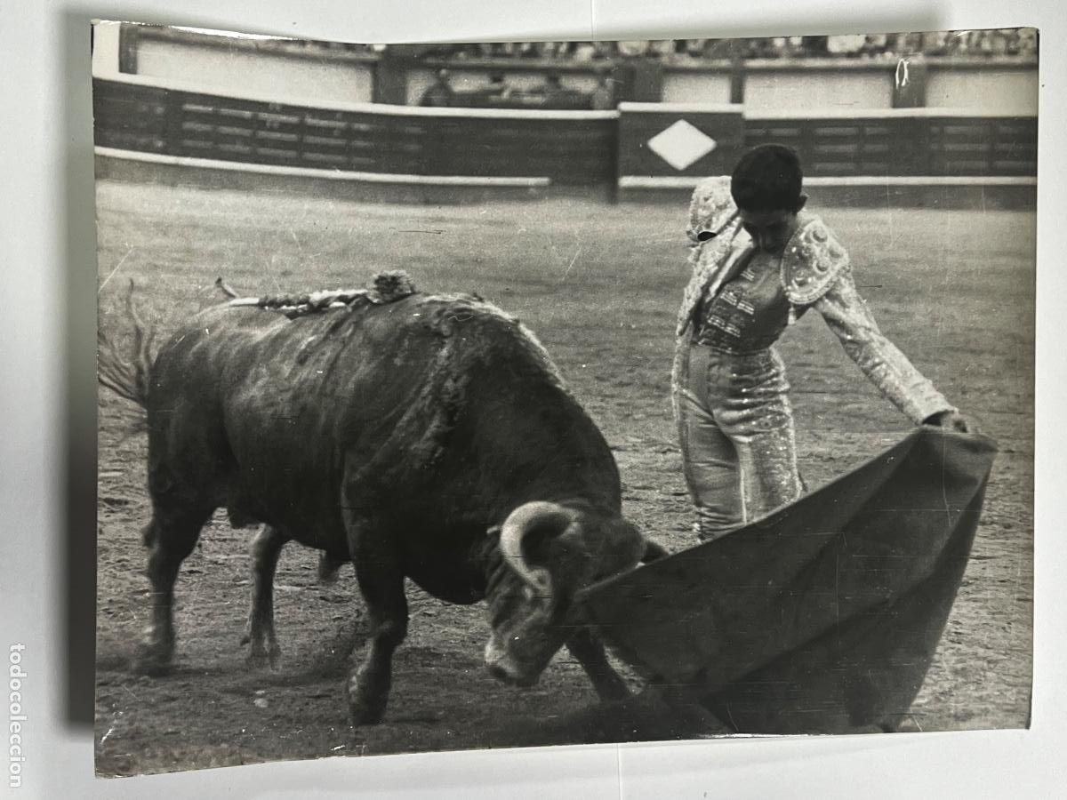 Bullfighting: ANTIGUA FOTOGRAF&Iacute;A. TORERO CAMINO. FOTO ARJONA. GRAN TAMA&Ntilde;O