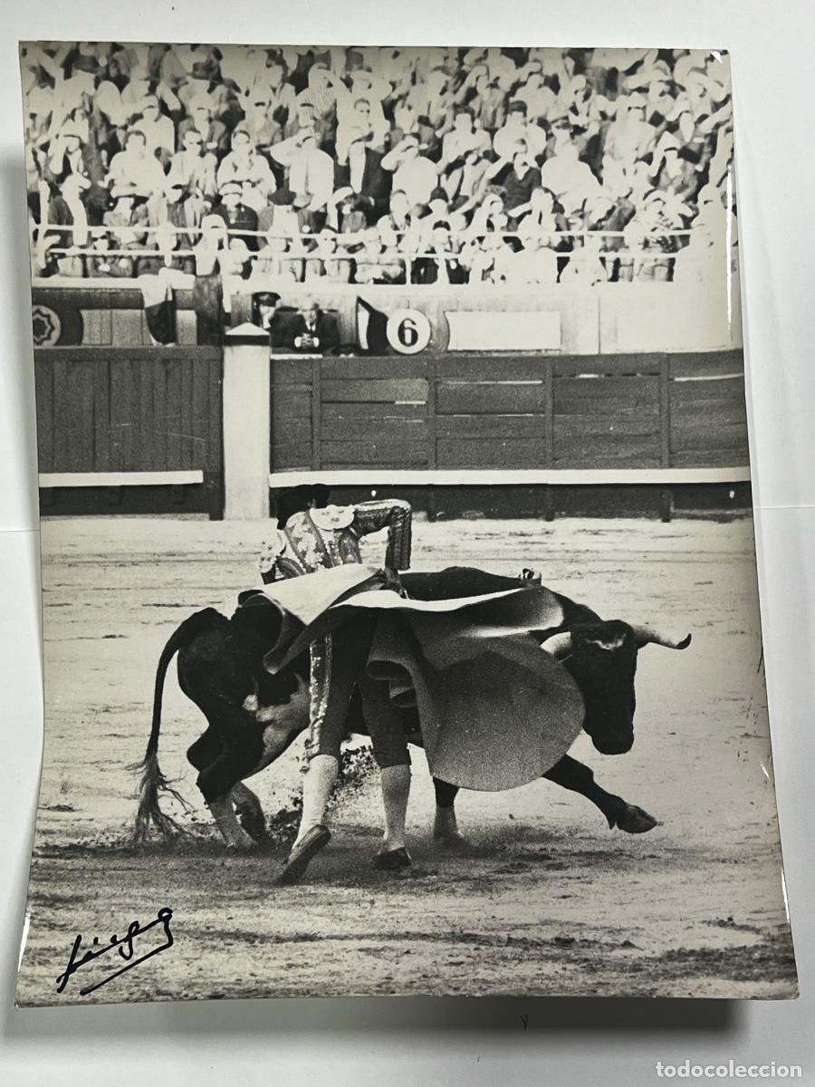 Tauromaquia: ANTIGUA FOTOGRAF&Iacute;A. TORERO CAMINO. TAUROMAQUIA. FOTOGRAF&Iacute;A ARJONA..