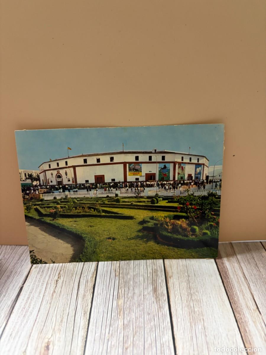 Tauromaquia: TARJETA POSTAL. C&Aacute;DIZ. ALGECIRAS. PLAZA TOROS. EDICIONES ARRIBAS