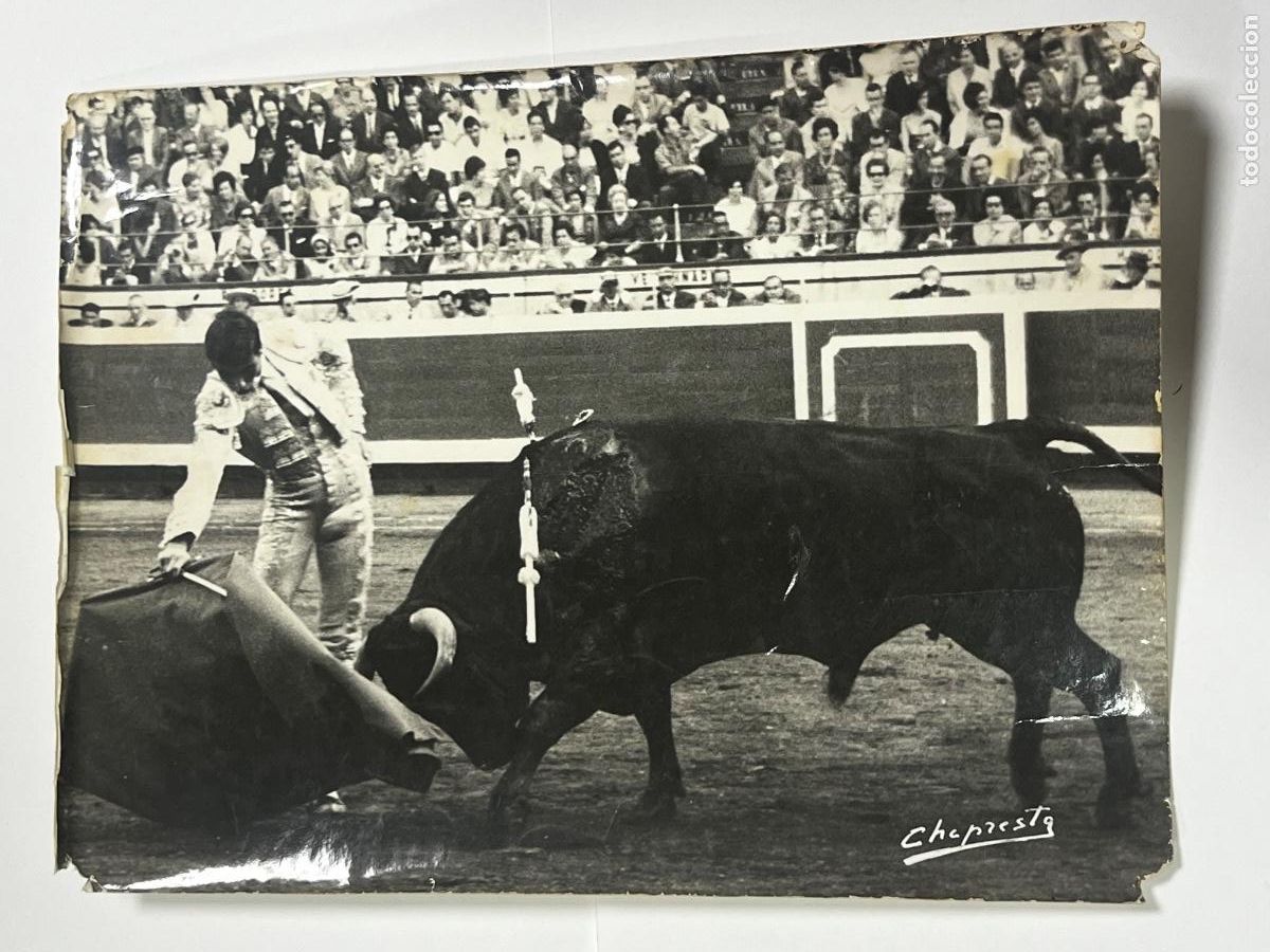 Tauromaquia: ANTIGUA FOTOGRAF&Iacute;A.TORERO CHAMACO. TAUROMAQUIA.