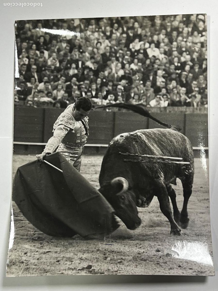 Tauromaquia: ANTIGUA FOTOGRAF&Iacute;A. TORERO ANTONIO BIENVENIDA . TAUROMAQUIA. FOT&Oacute;GRAFO ARJONA.