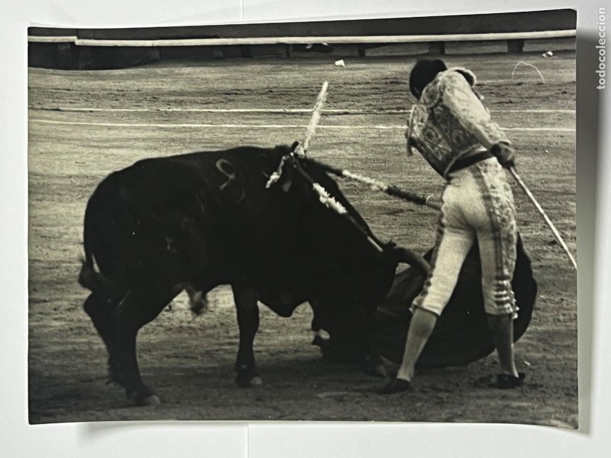Tauromaquia: ANTIGUA FOTOGRAF&Iacute;A. TORERO LIMONES. TAUROMAQUIA.
