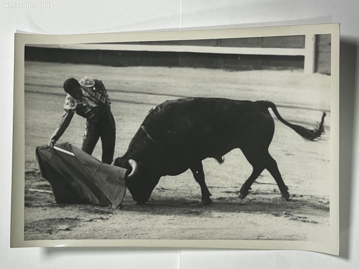 Tauromaquia: ANTIGUA FOTOGRAF&Iacute;A. TORERO LITRI. TAUROMAQUIA.
