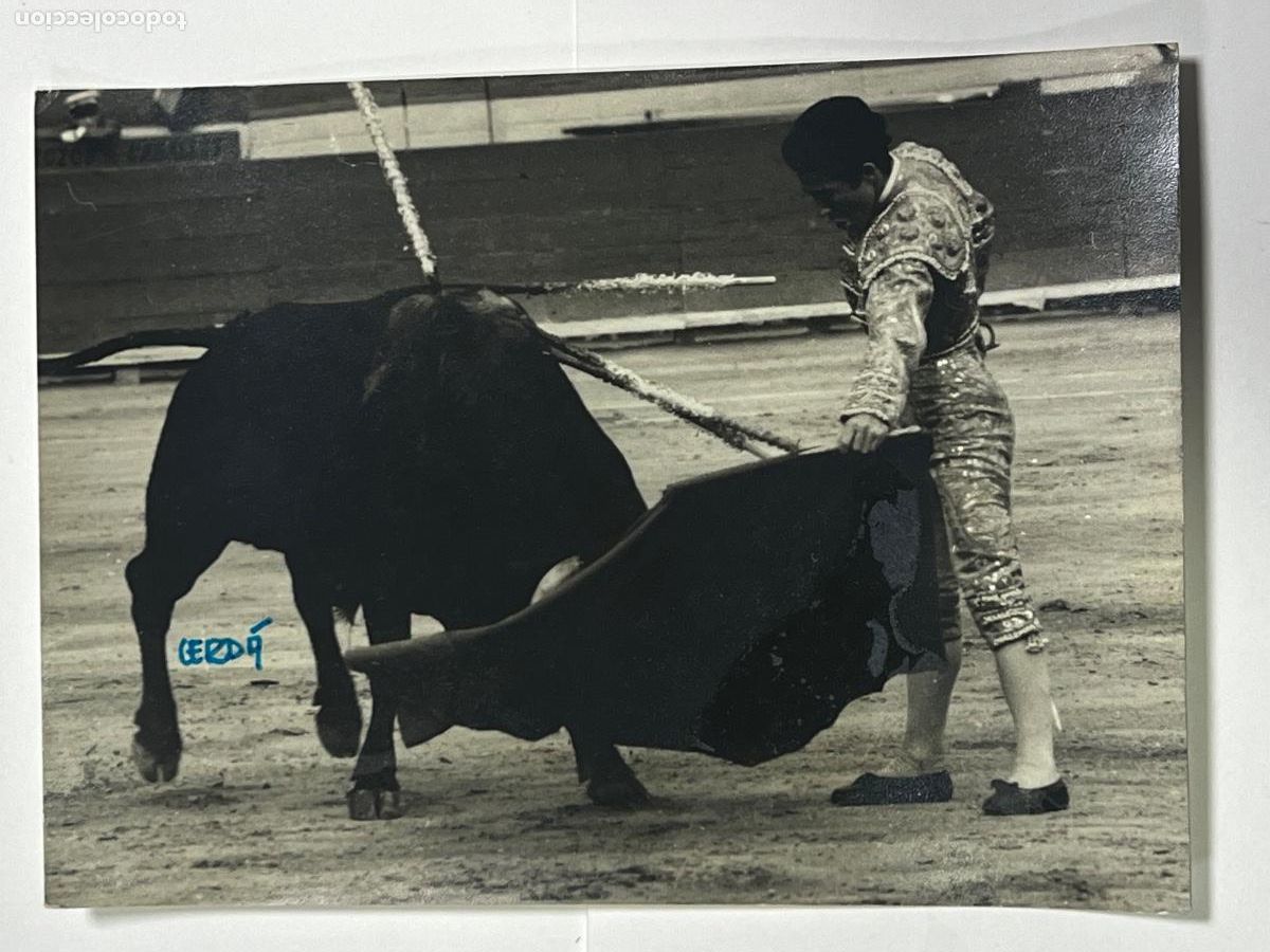 Tauromaquia: ANTIGUA FOTOGRAF&Iacute;A. TORERO H&Eacute;CTOR &Aacute;LVAREZ. TAUROMAQUIA. FOT&Oacute;GRAFO JOS&Eacute; CERDA.