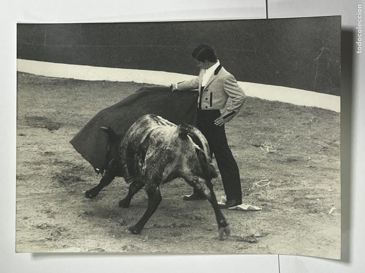 Tauromaquia: ANTIGUA FOTOGRAF&Iacute;A. TORERO MANOLO MAC&Iacute;AS. TAUROMAQUIA.