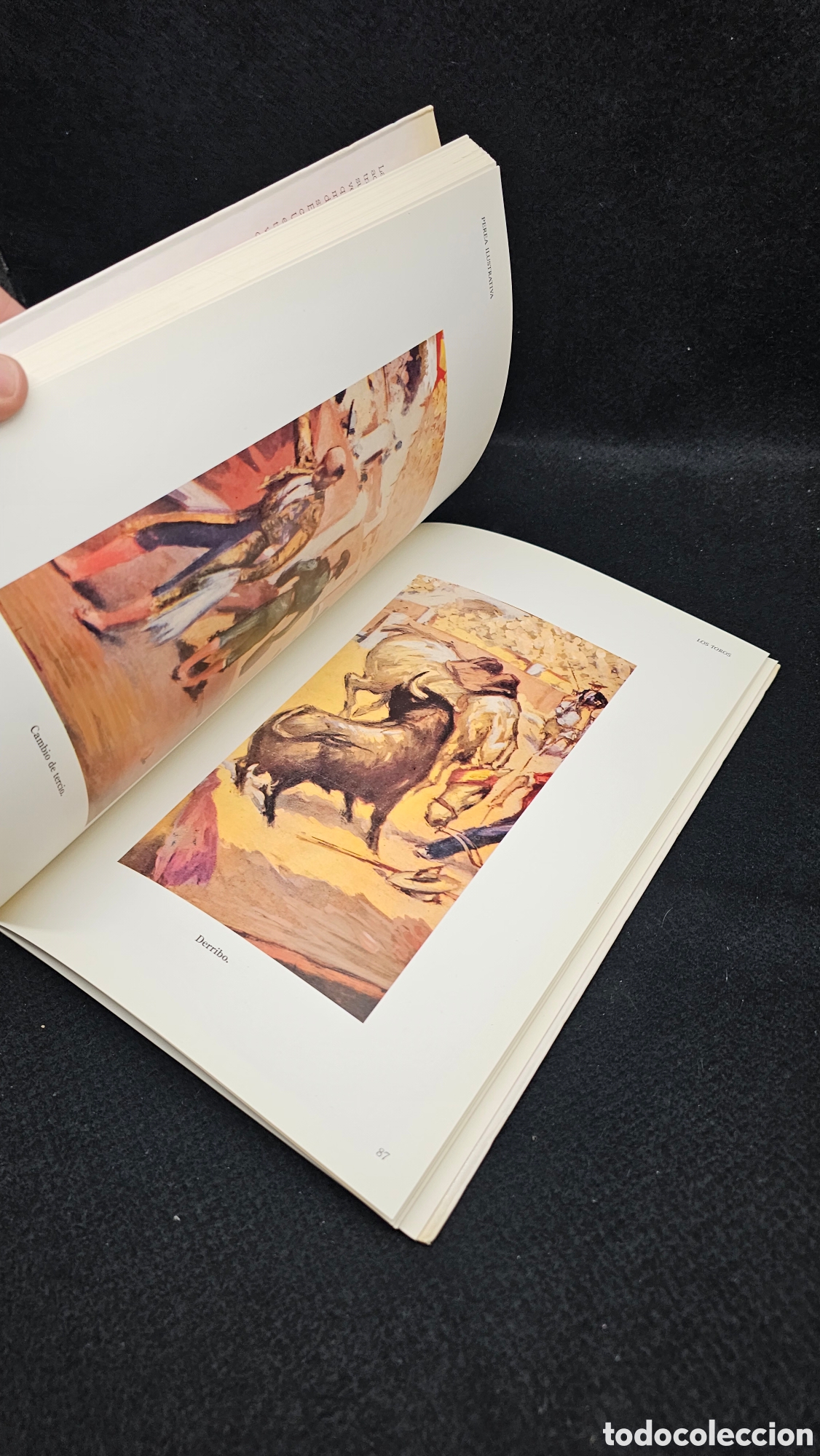 Tauromaquia: Libro de ilustraciones taurinas - Foto 2