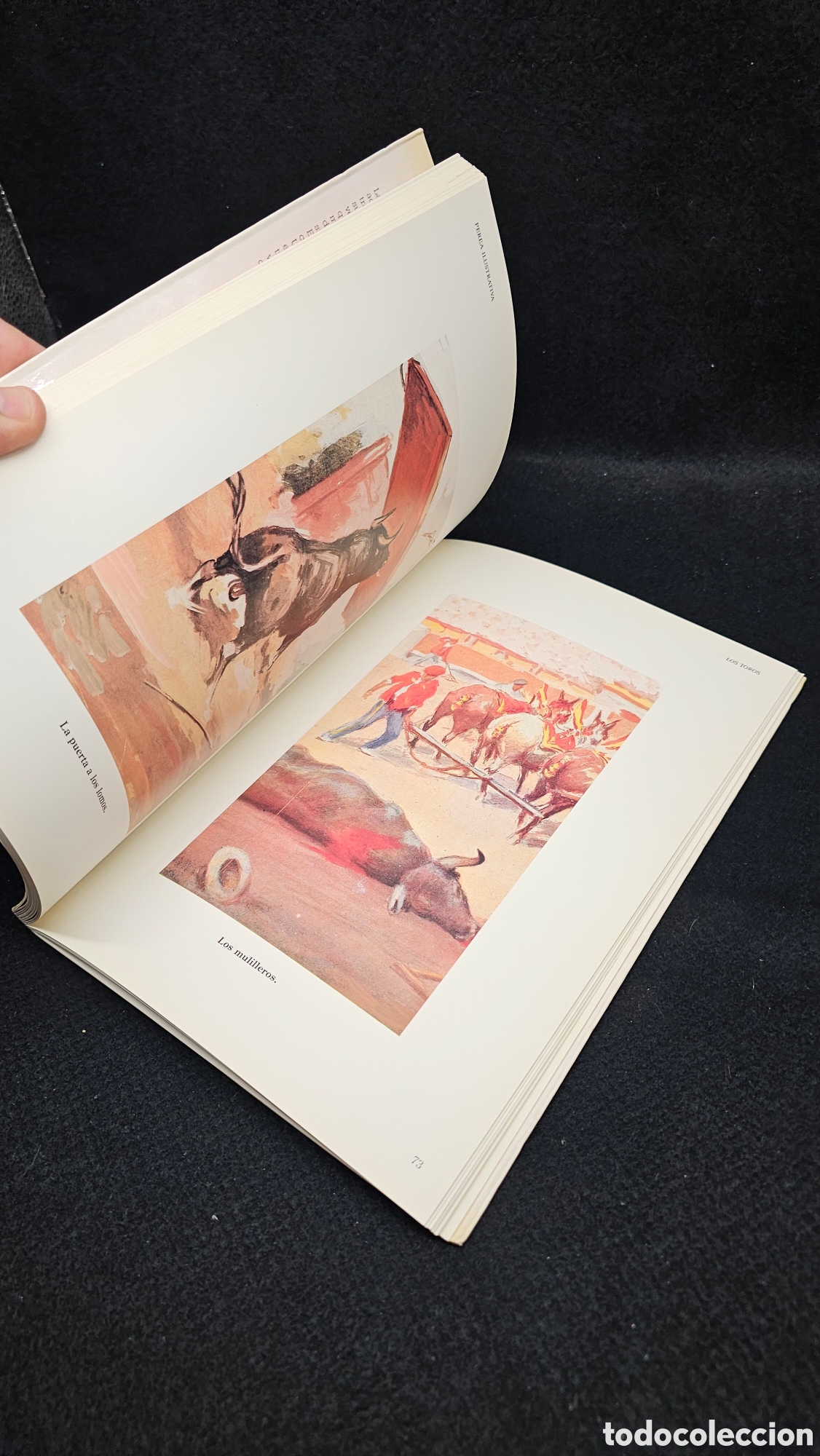 Tauromaquia: Libro de ilustraciones taurinas - Foto 3