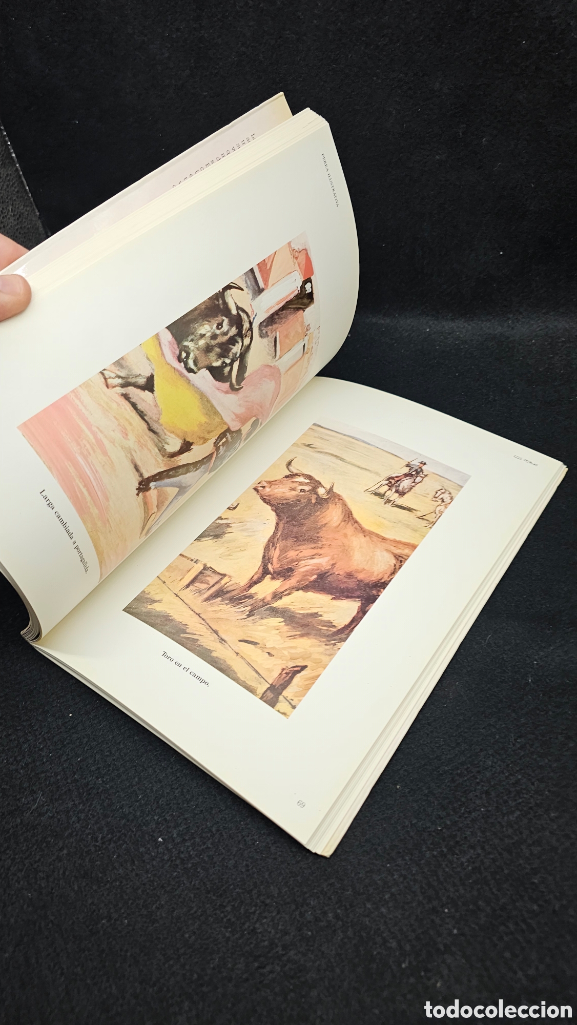 Tauromaquia: Libro de ilustraciones taurinas - Foto 4