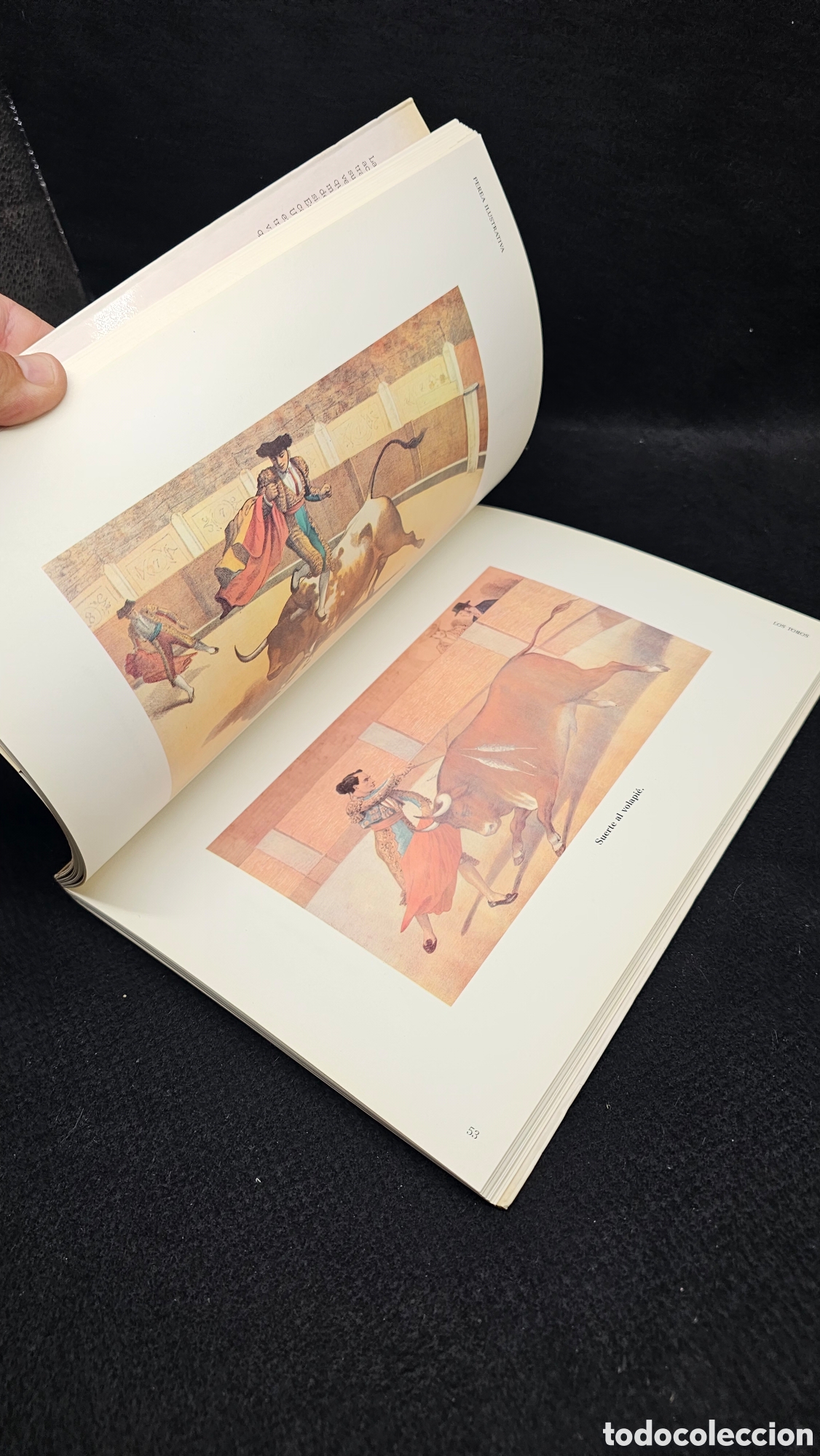 Tauromaquia: Libro de ilustraciones taurinas - Foto 6