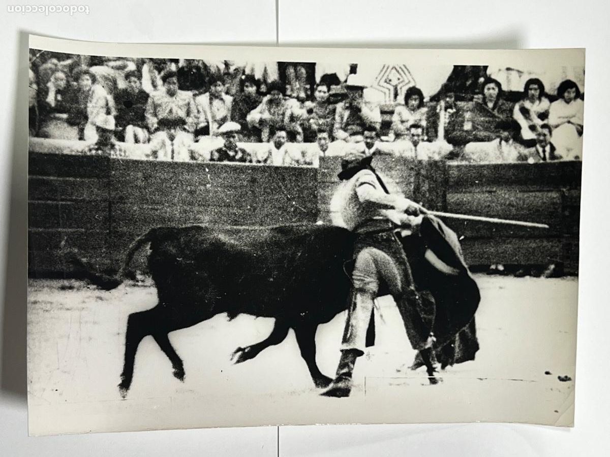 Tauromaquia: ANTIGUA FOTOGRAF&Iacute;A. TORERA AMINA ASSIS. 18 x 13 CM.