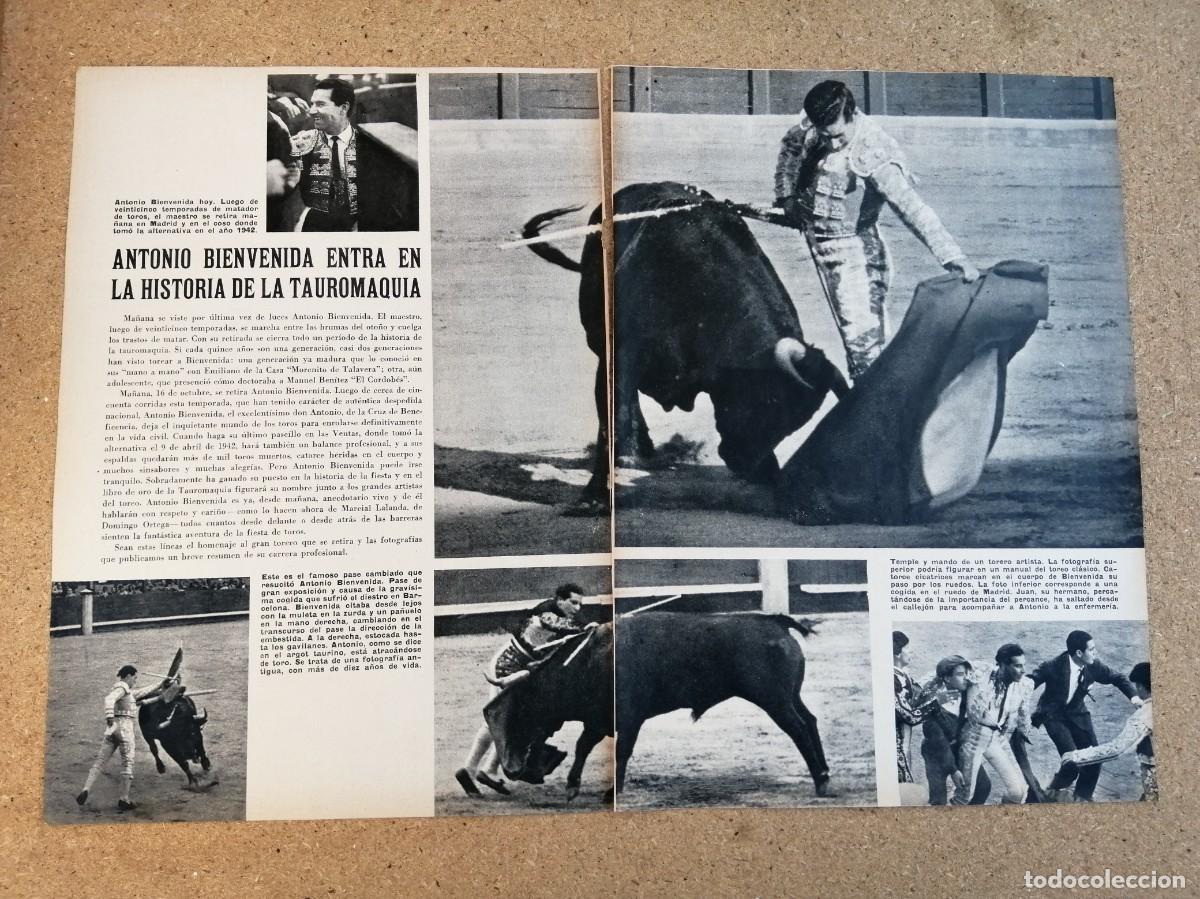 Tauromaquia: REPORTAJE TAURINO. ANTONIO BIENVENIDA, ENTRA EN LA HISTORIA DE LA TAUROMAQUIA