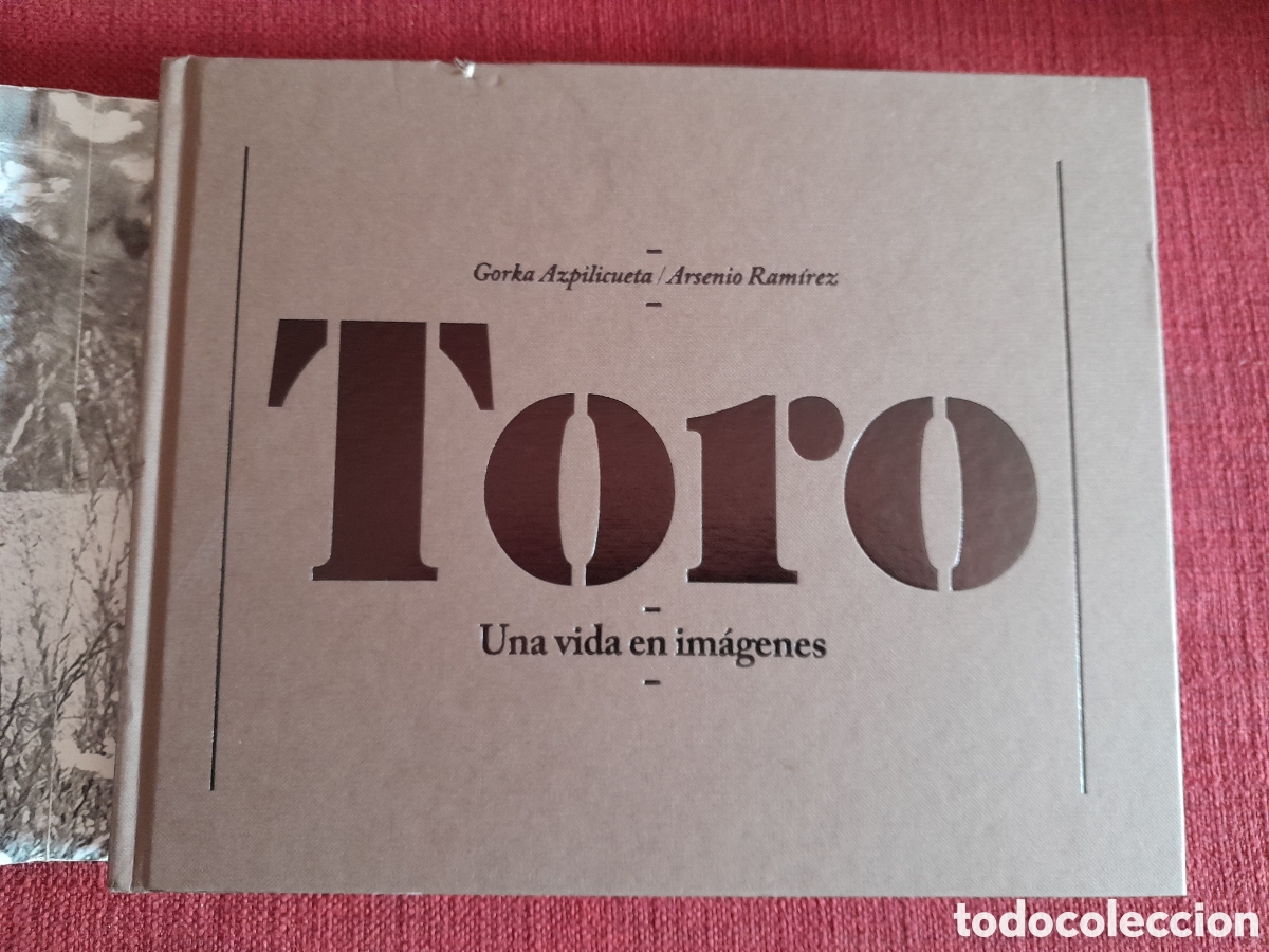 Tauromaquia: -TORO.Una vida en im&aacute;genes. - Foto 4