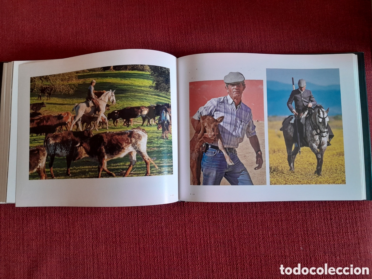 Tauromaquia: -TORO.Una vida en im&aacute;genes. - Foto 6