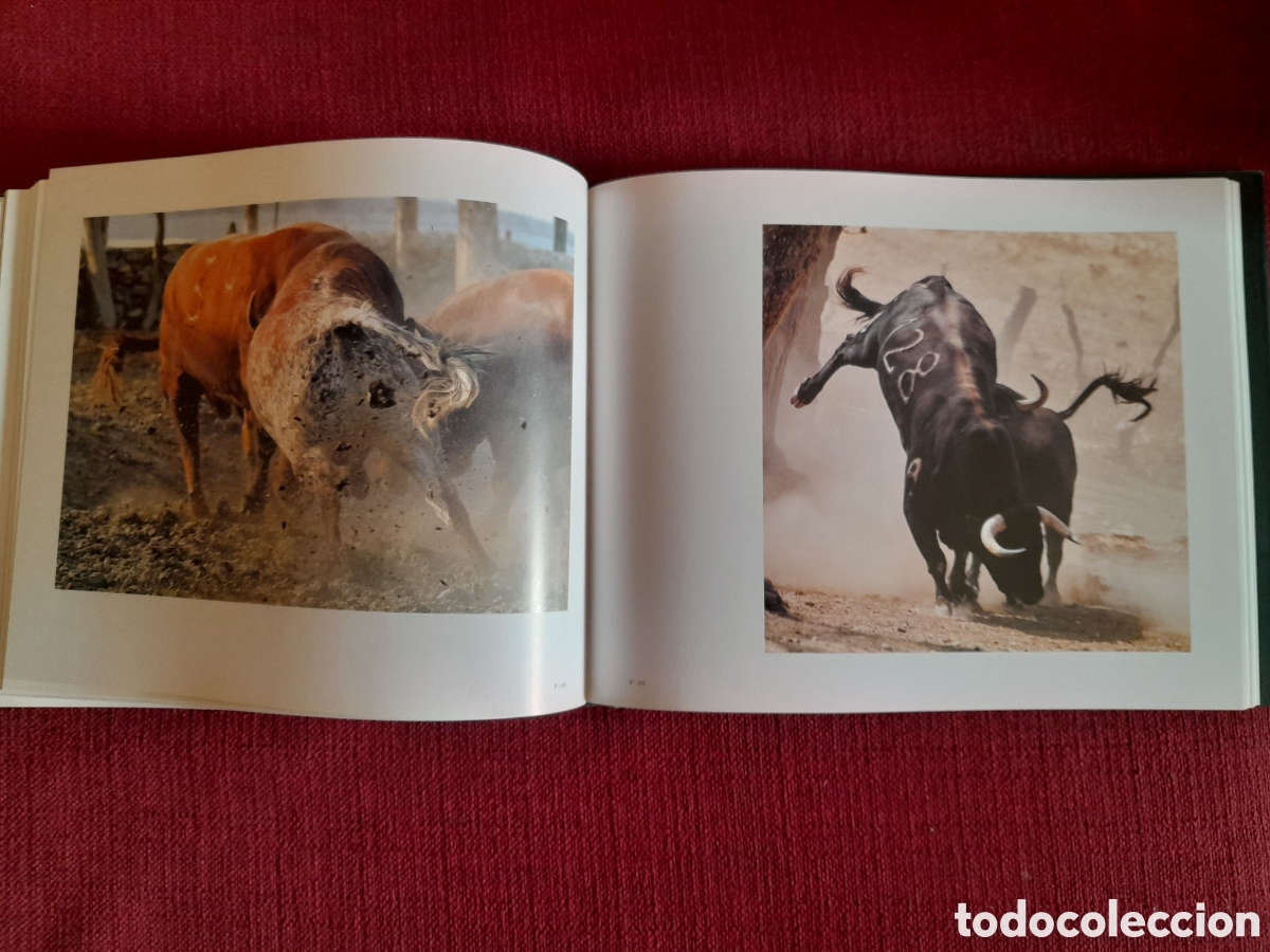 Tauromaquia: -TORO.Una vida en im&aacute;genes. - Foto 7