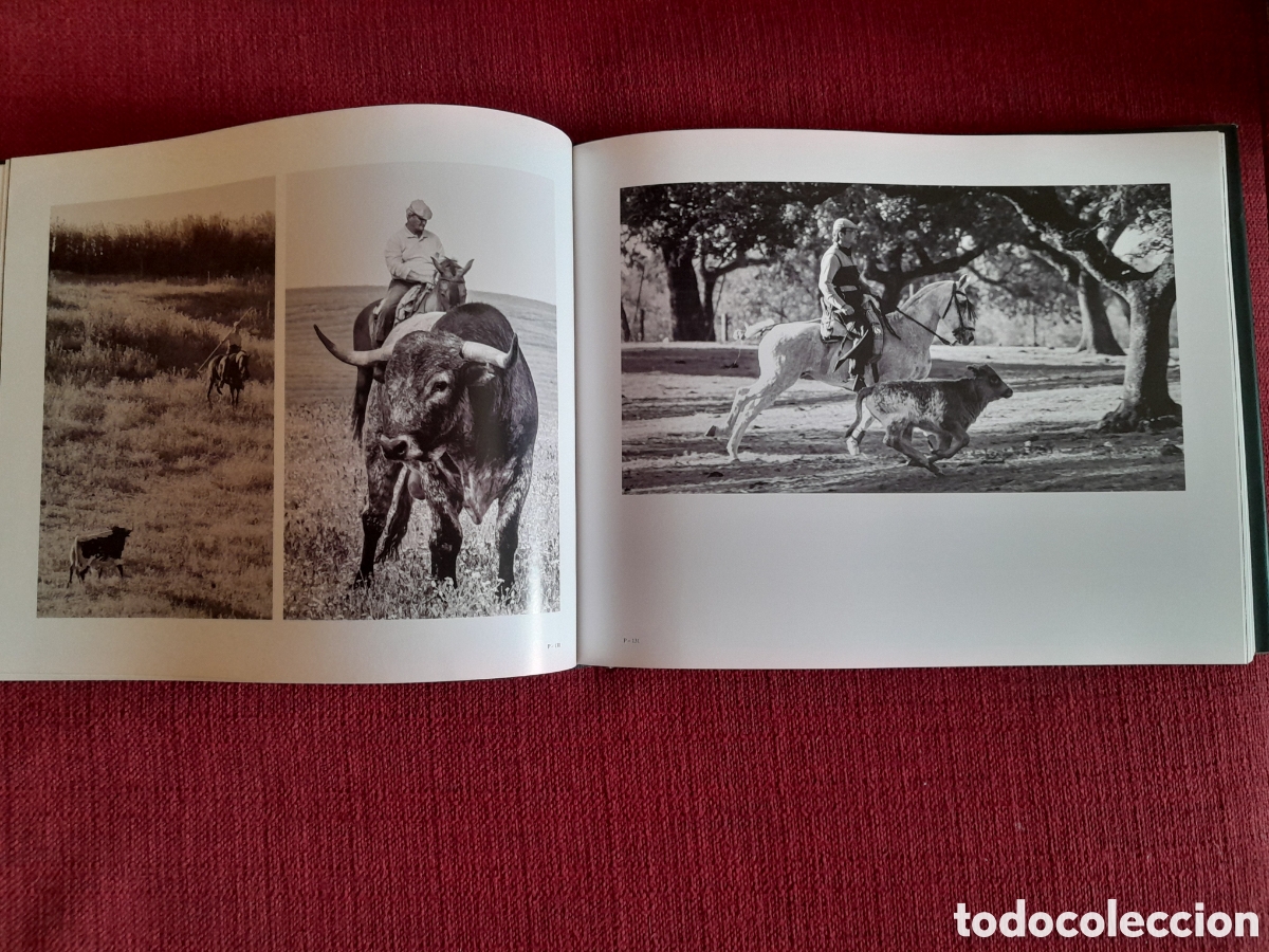 Tauromaquia: -TORO.Una vida en im&aacute;genes. - Foto 8