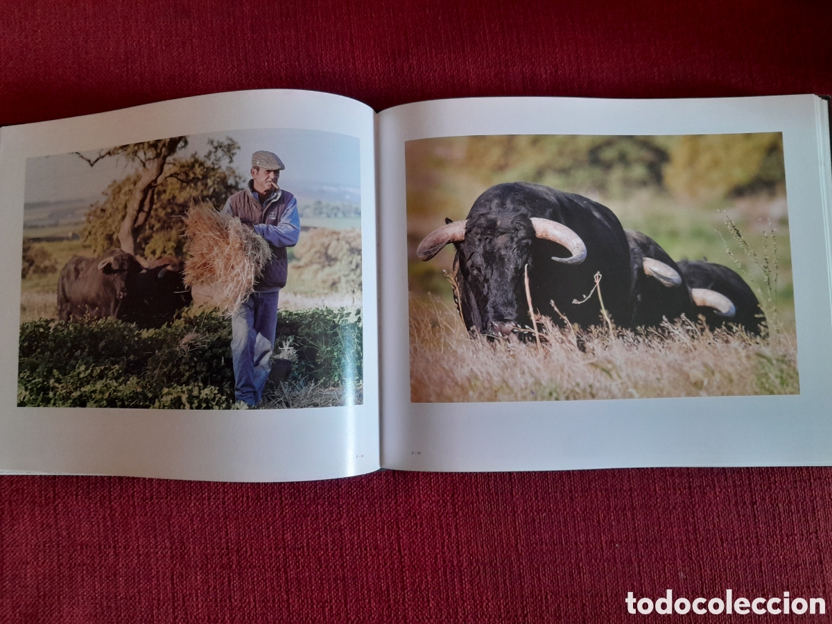Tauromaquia: -TORO.Una vida en im&aacute;genes. - Foto 9