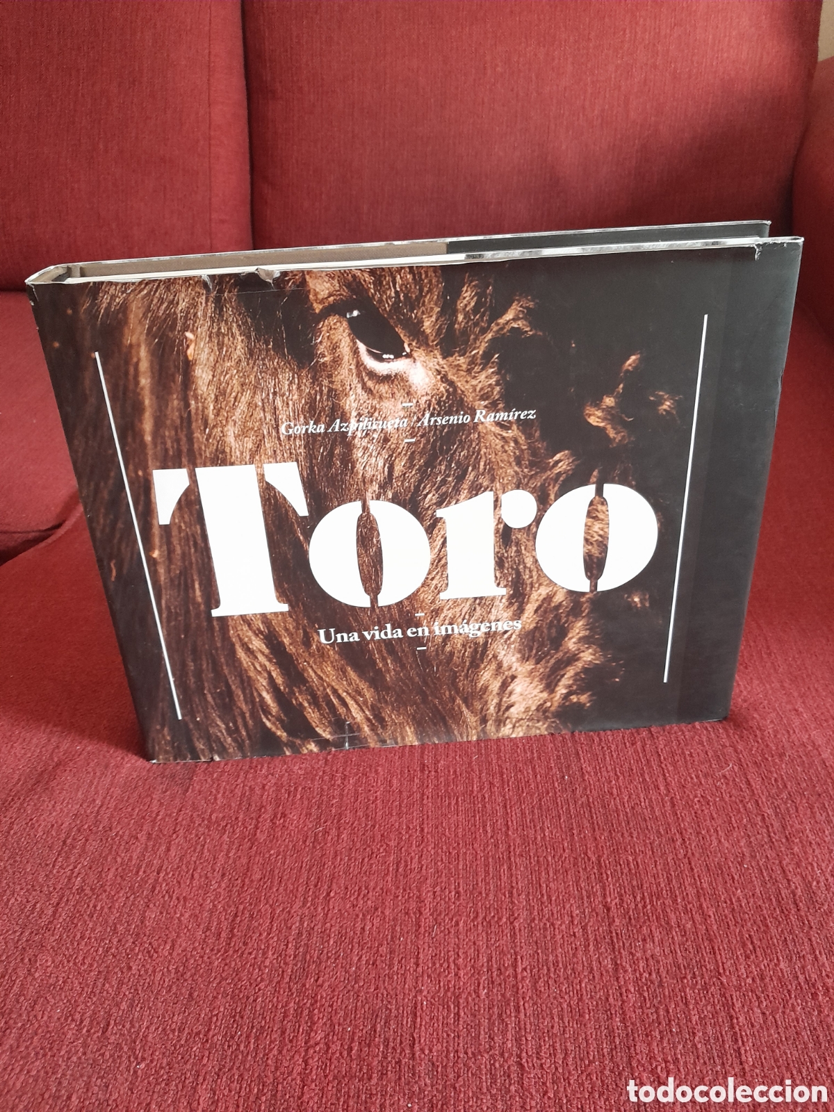Tauromaquia: -TORO.Una vida en im&aacute;genes. - Foto 1
