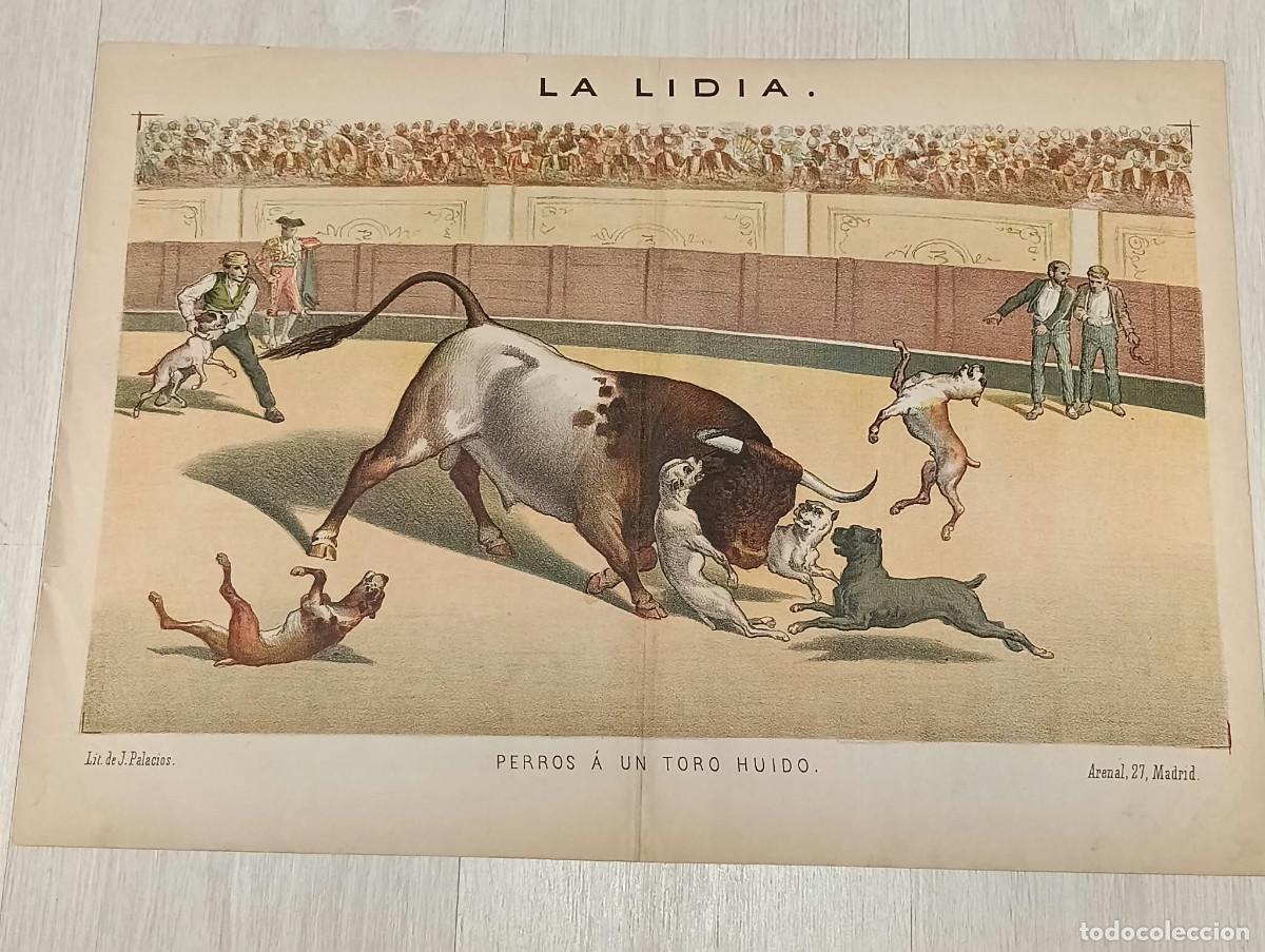Tauromaquia: La Lidia. Litograf&iacute;a. &rdquo;Perros &aacute; un toro huido&rdquo;. Lit. de J. Palacios.
