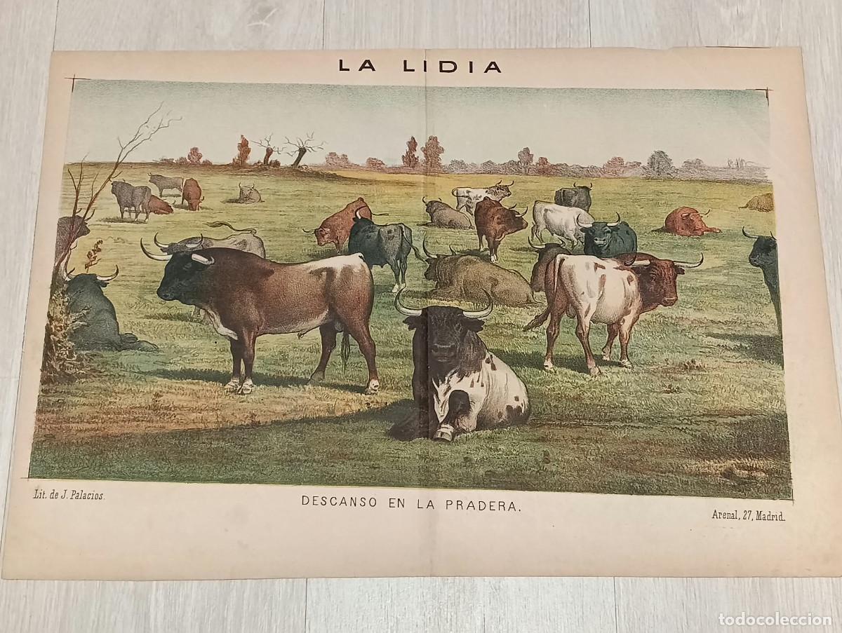 Tauromaquia: La Lidia. Litograf&iacute;a. &rdquo;Descanso en la Pradera&rdquo;. Lit. de J. Palacios.