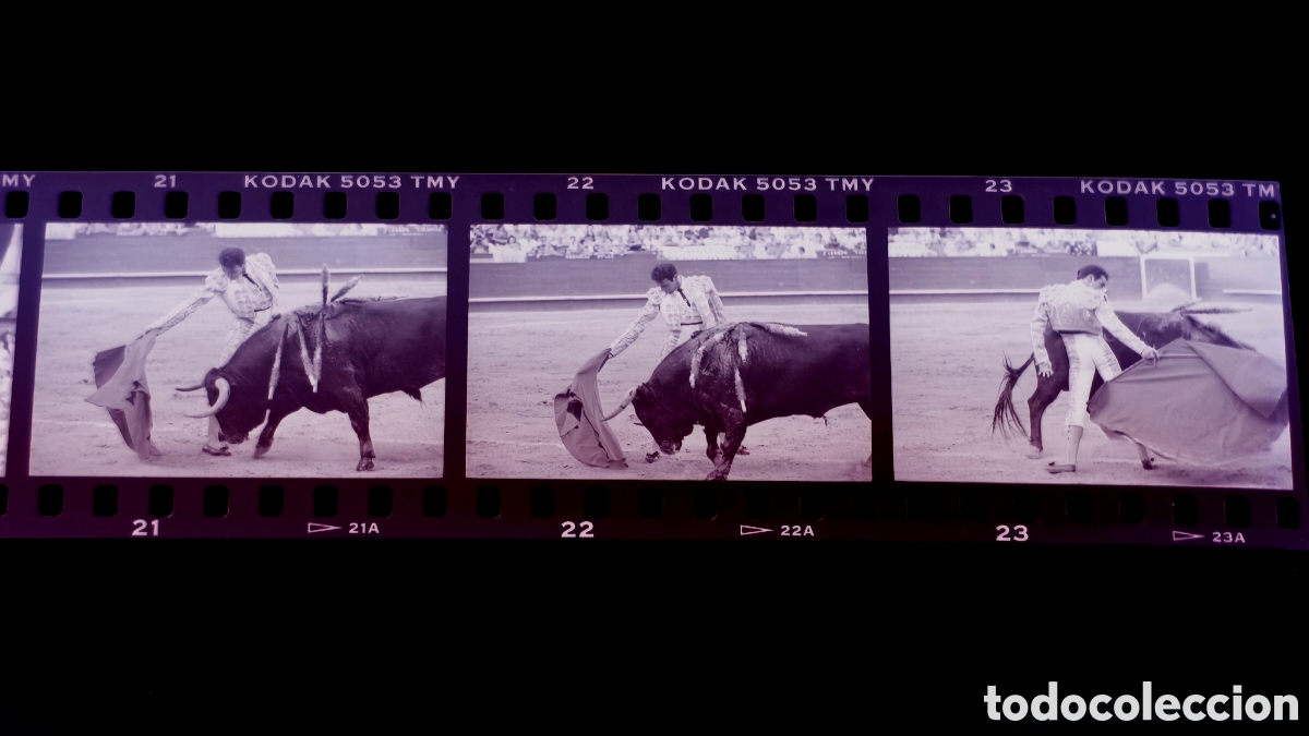 Bullfighting: Lote de 36 fotos negativos toros torero Enrique Ponce feria Julio 1995 Valencia