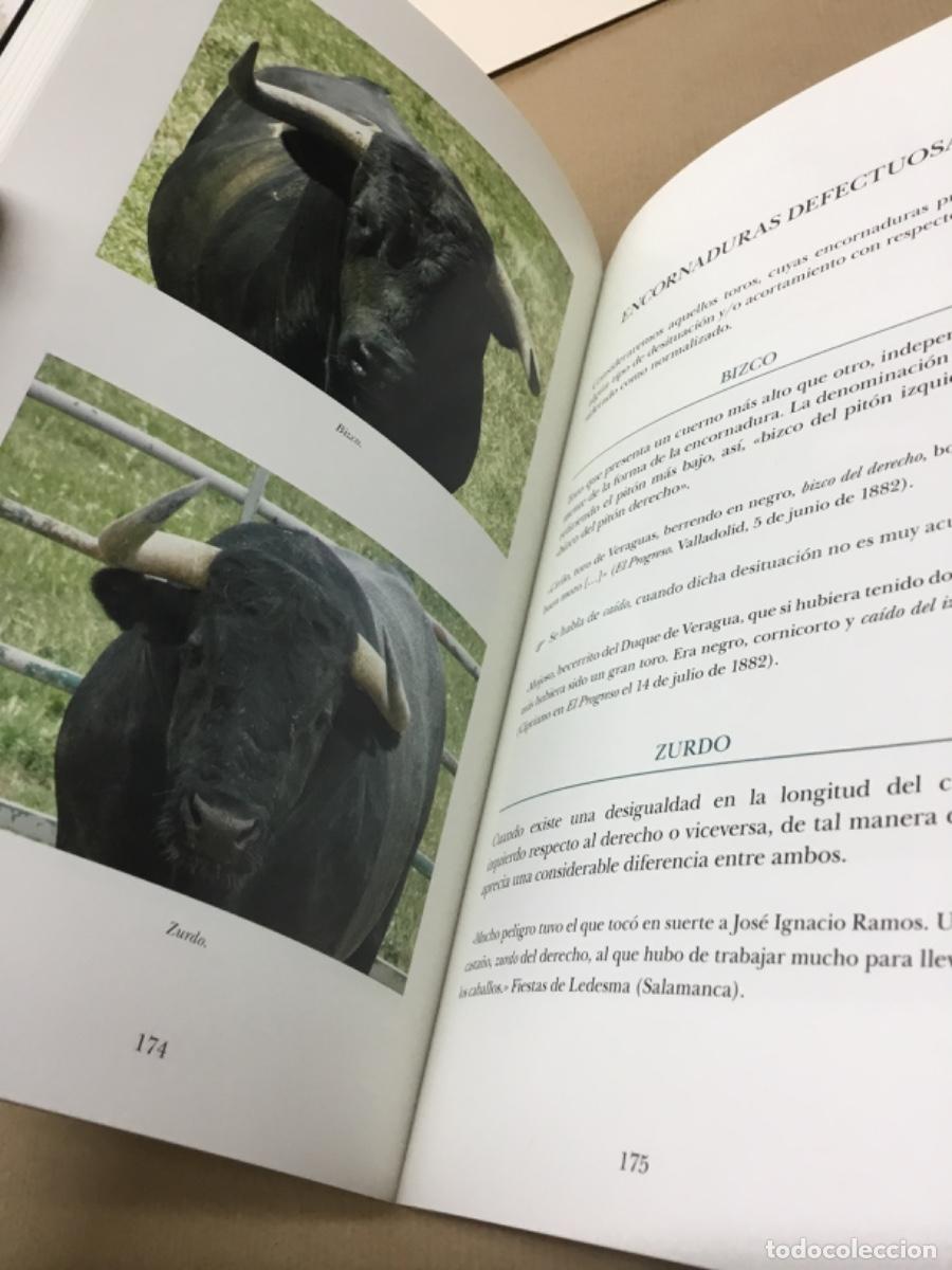 Tauromaquia: Libro toros tauromaquia - Foto 4