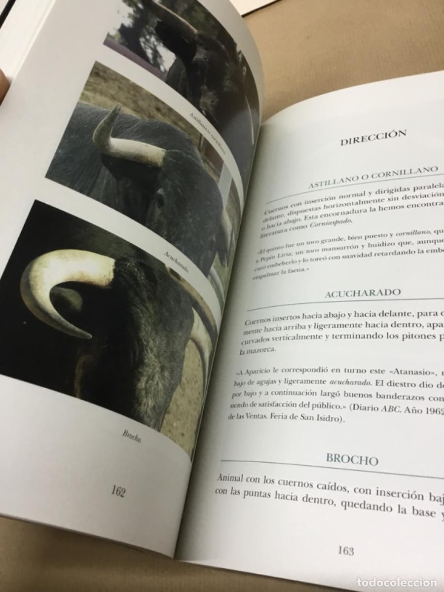 Tauromaquia: Libro toros tauromaquia - Foto 5