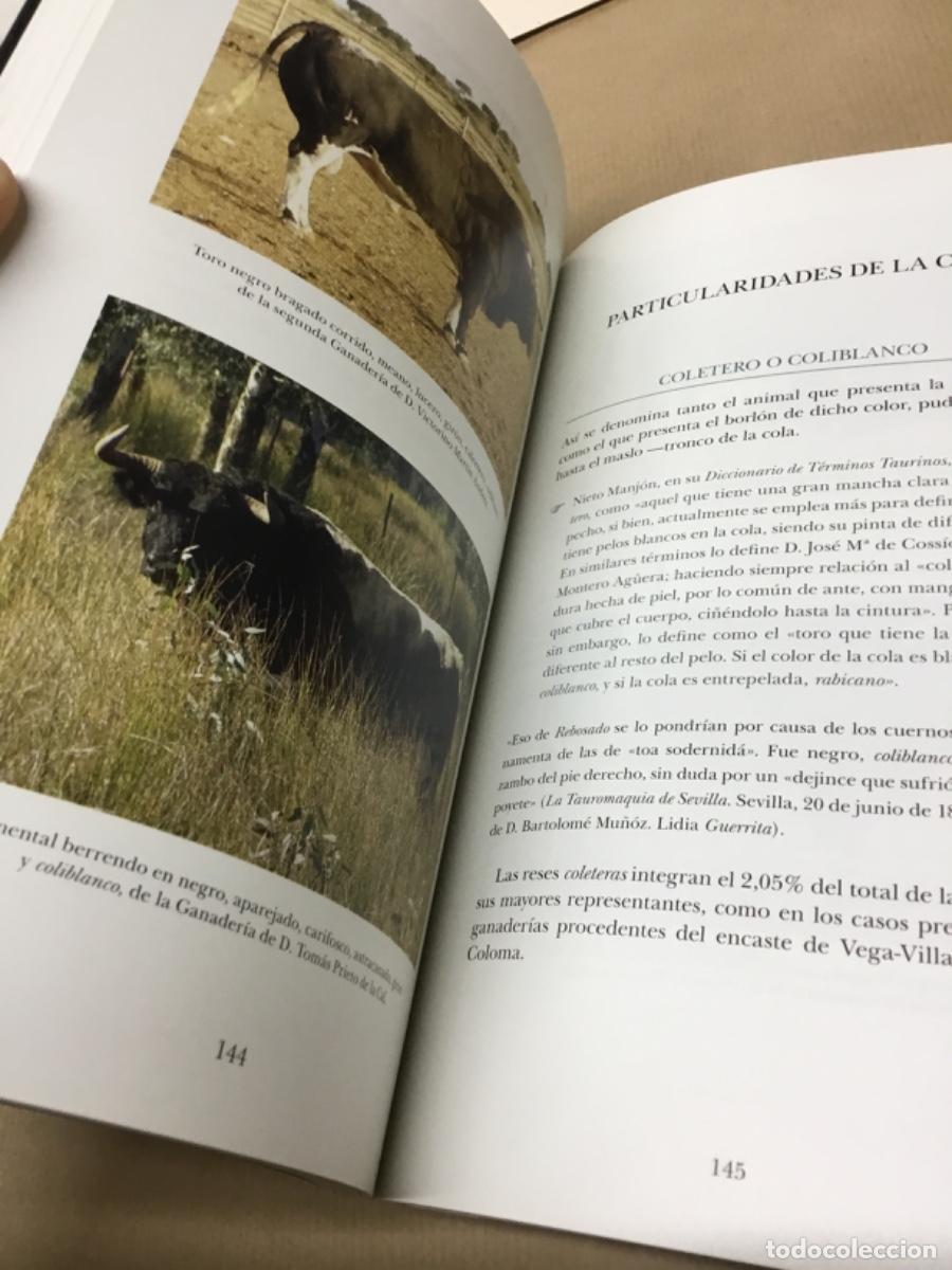 Tauromaquia: Libro toros tauromaquia - Foto 6