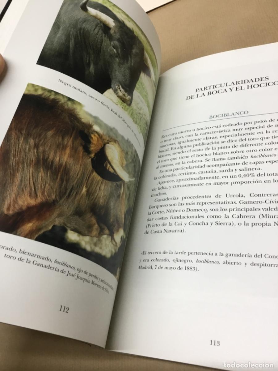 Tauromaquia: Libro toros tauromaquia - Foto 7
