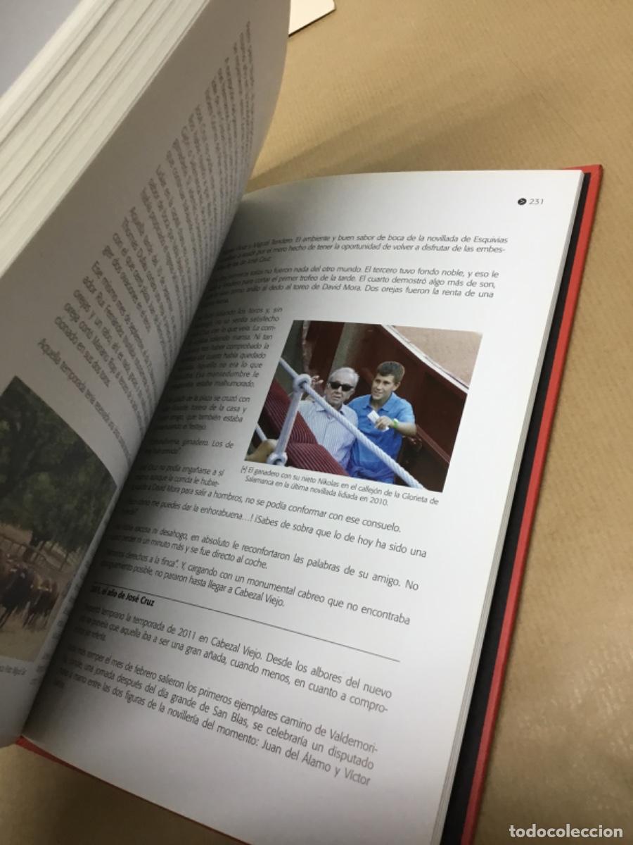 Tauromaquia: Libro toros tauromaquia - Foto 6