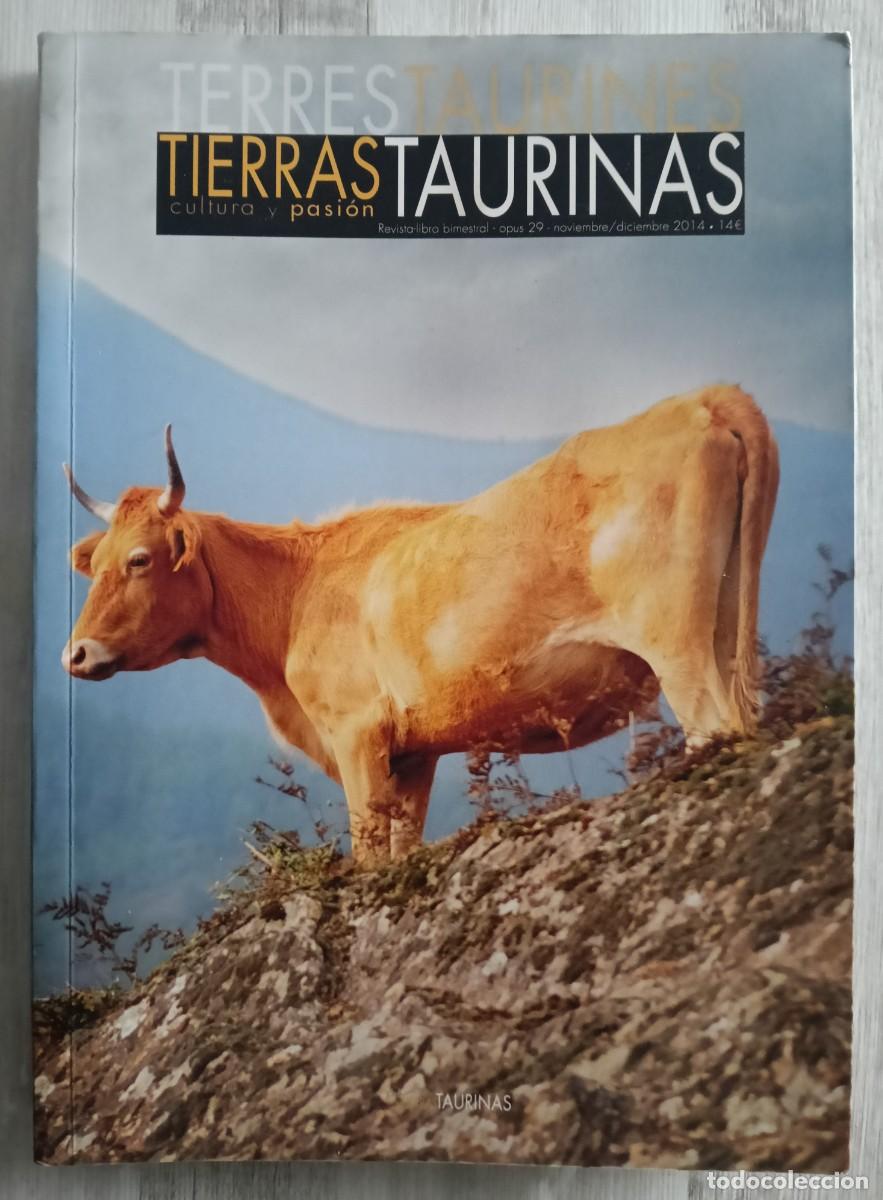 Tauromaquia: Tierras Taurinas 29 . Casta Navarra