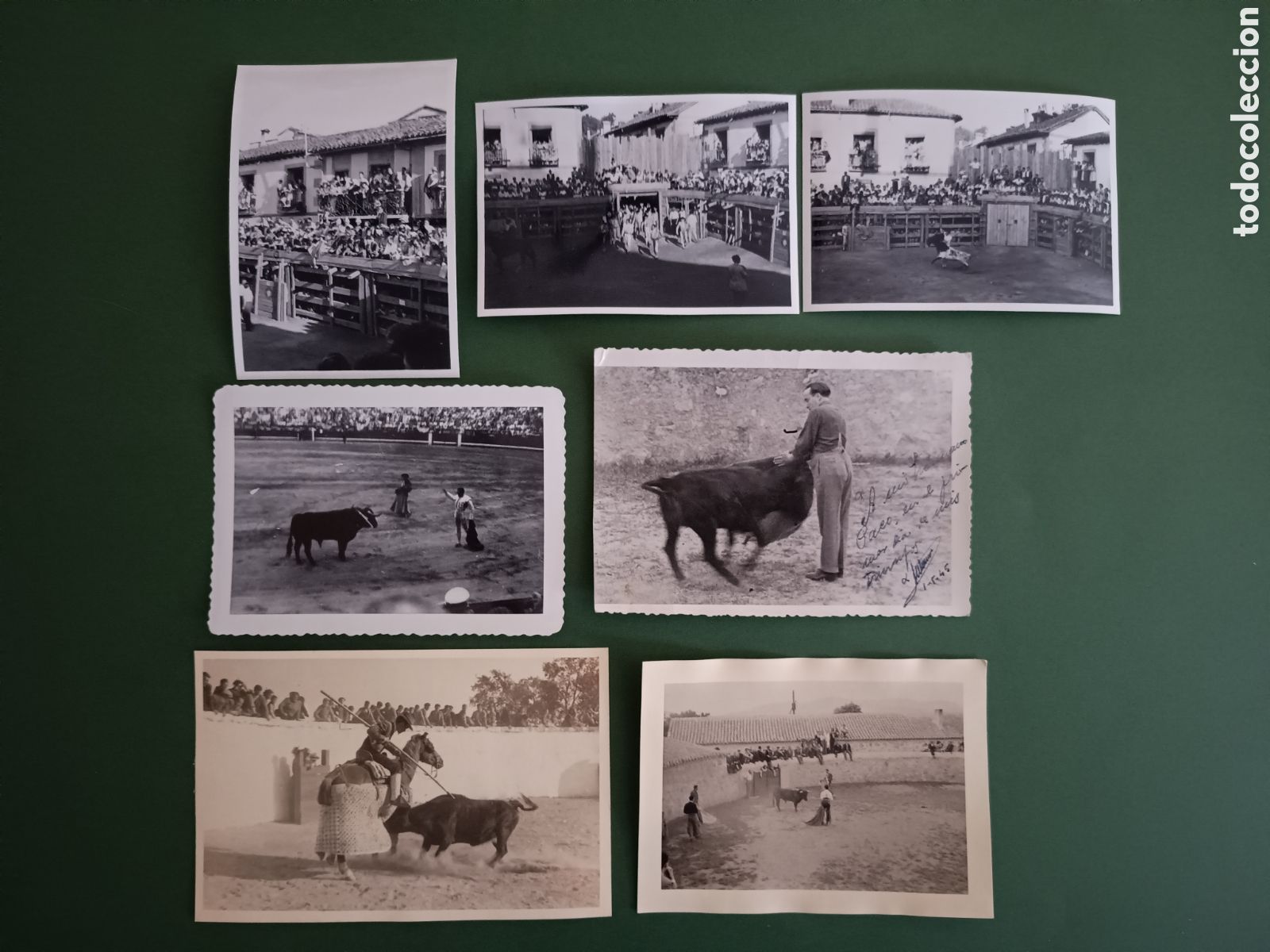 Tauromaquia: 7 FOTOGRAF&Iacute;AS DE TOROS - 10,5x7,5cm aprox.